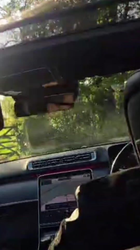 Post 5 by RADU MEME on TikTok (video)