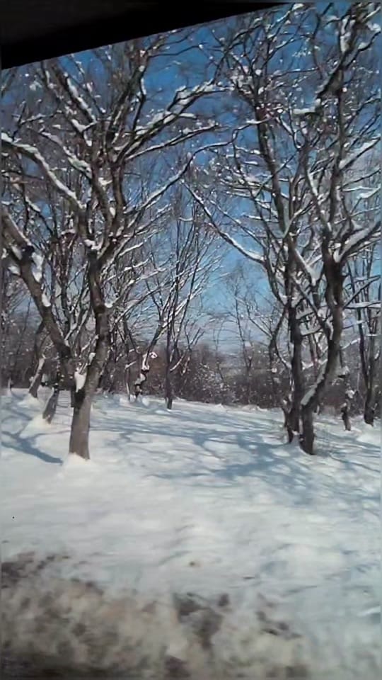 Post 2 by Abul Hasan on TikTok (video)