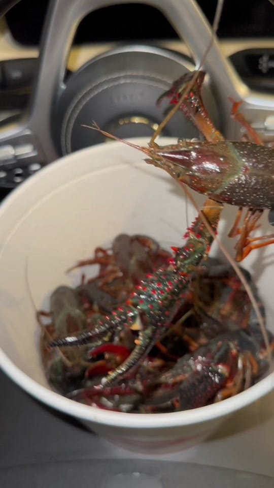 Post 4 by dubai_chef on TikTok (video)