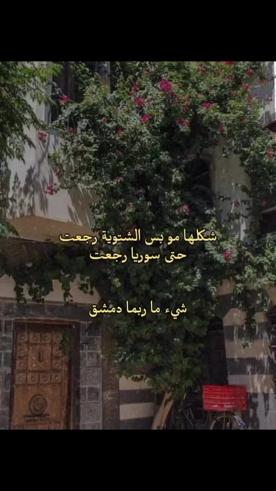 Post 4 by baraa_jo1 on TikTok (video)