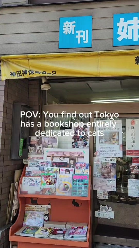 Post 7 by ✨️Anita | Booktok 📖💕 on TikTok (video)