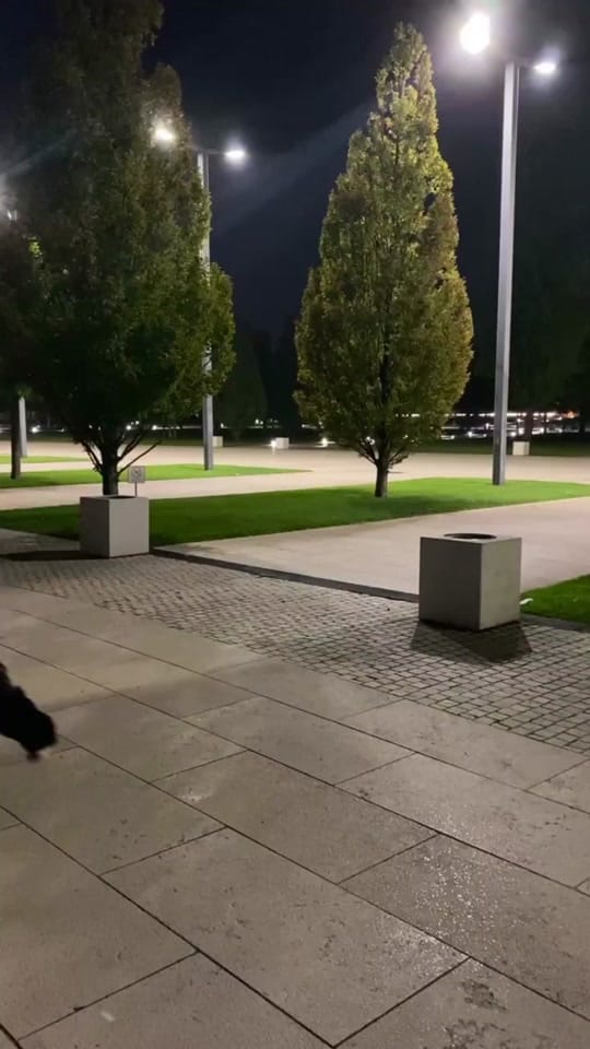 Post 9 by RIVALS team on TikTok (video)