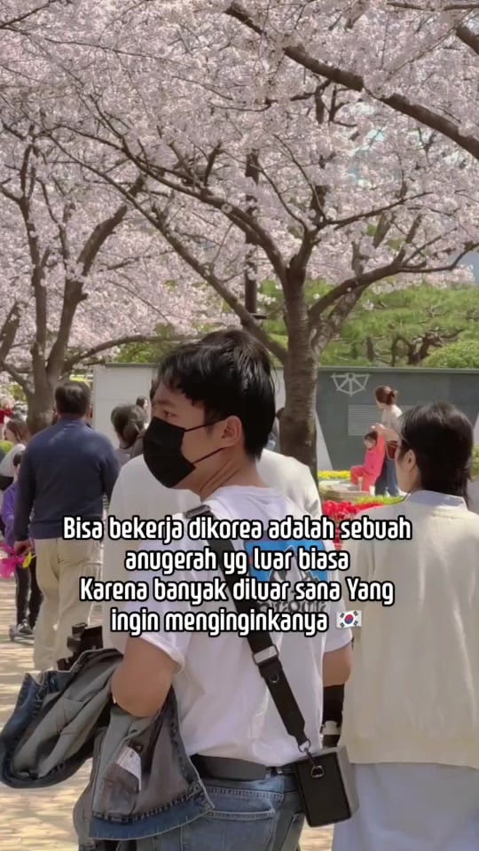 Post 2 by Hwan Dae 🇰🇷🇮🇩 on TikTok (video)