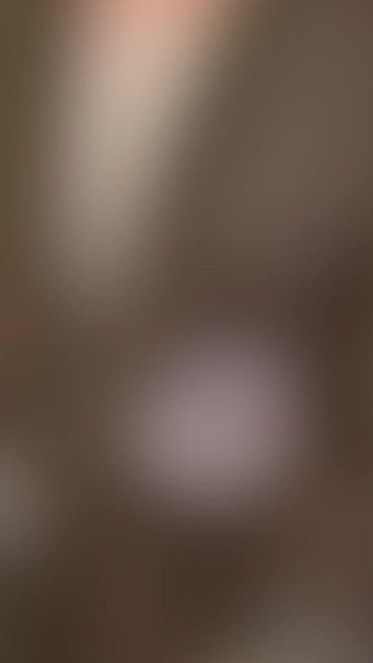 Post 5 by Chef Wadad Zarzour on TikTok (video)