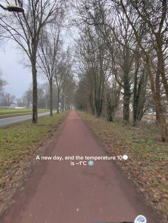 Post 2 by hairchef.nl on TikTok (video)
