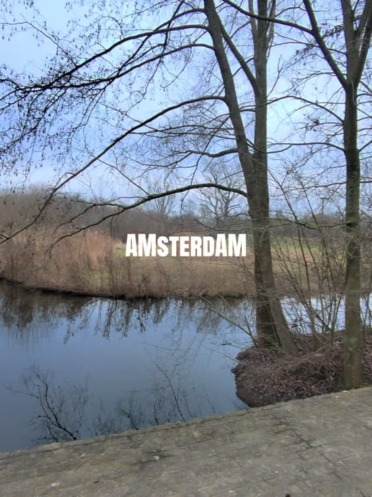 Post 1 by hairchef.nl on TikTok (video)