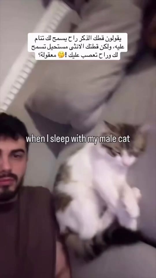 Post 1 by Taha on TikTok (video)