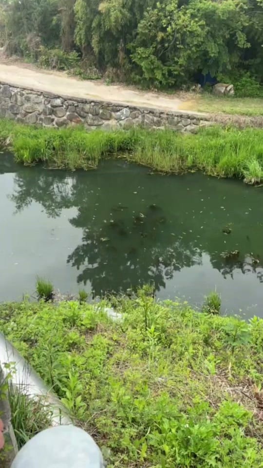 Post 9 by 🇵🇭ChinguDol🇰🇷 on TikTok (video)