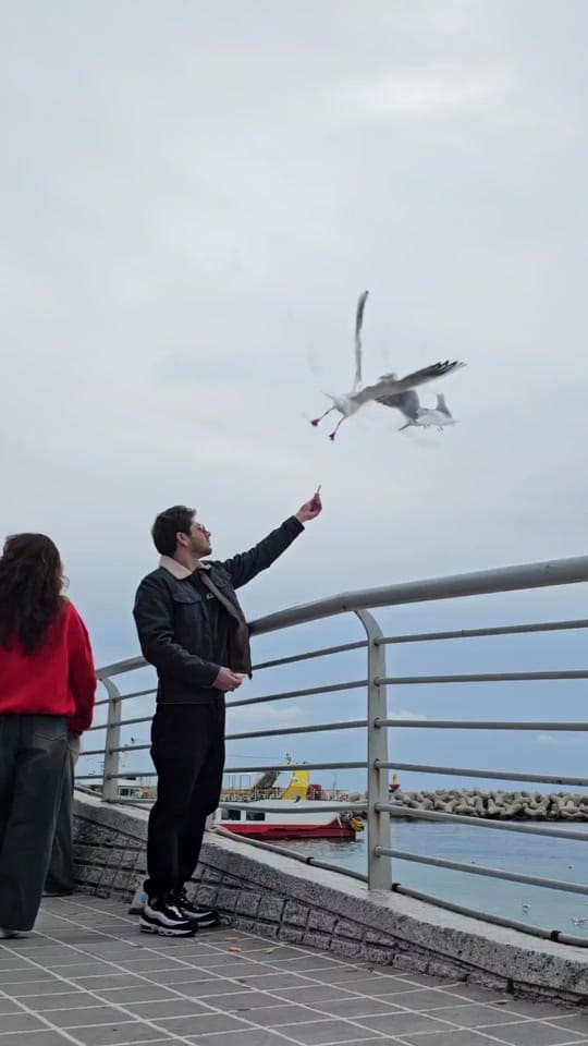 Post 3 by Champion 🇵🇰🇰🇷 on TikTok (video)