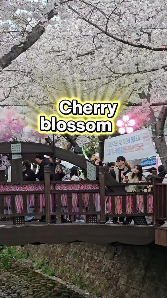 Post 7 by Champion 🇵🇰🇰🇷 on TikTok (video)
