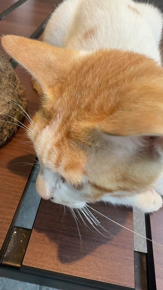 Post 5 by Travel Journey 🫶🏽 on TikTok (video)