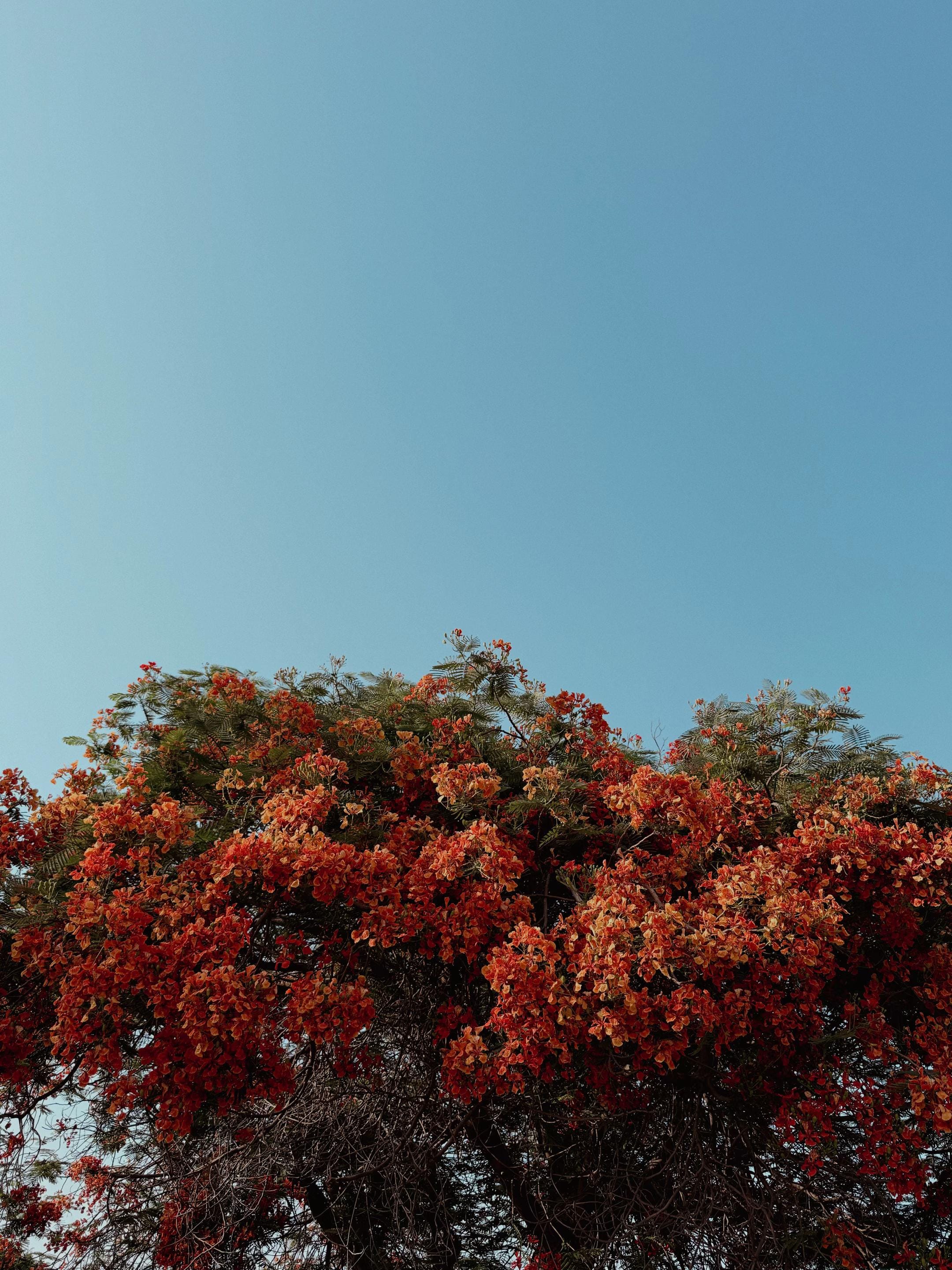 Post 3 by ashvinemosha.films on TikTok (video)