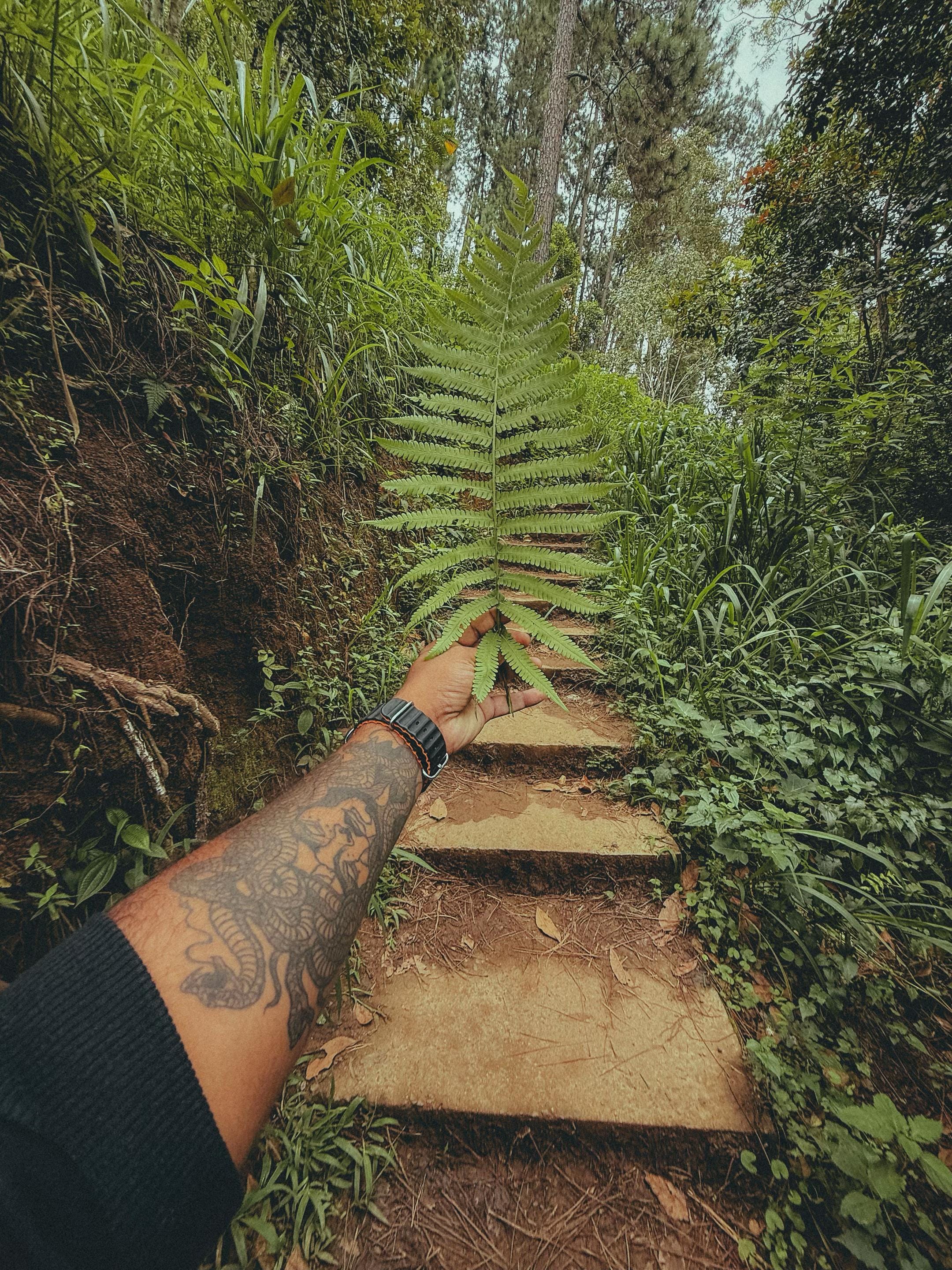 Post 9 by ashvinemosha.films on TikTok (video)