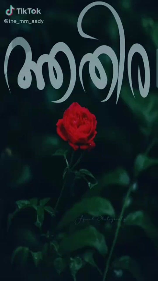 Post 2 by athiii on TikTok (video)