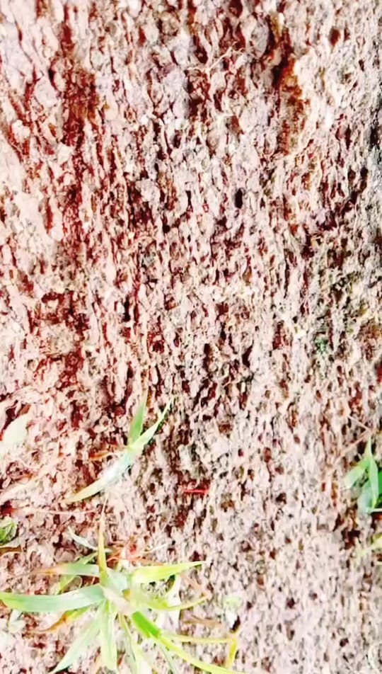 Post 1 by 🔥rajjadi boy🔥 on TikTok (video)