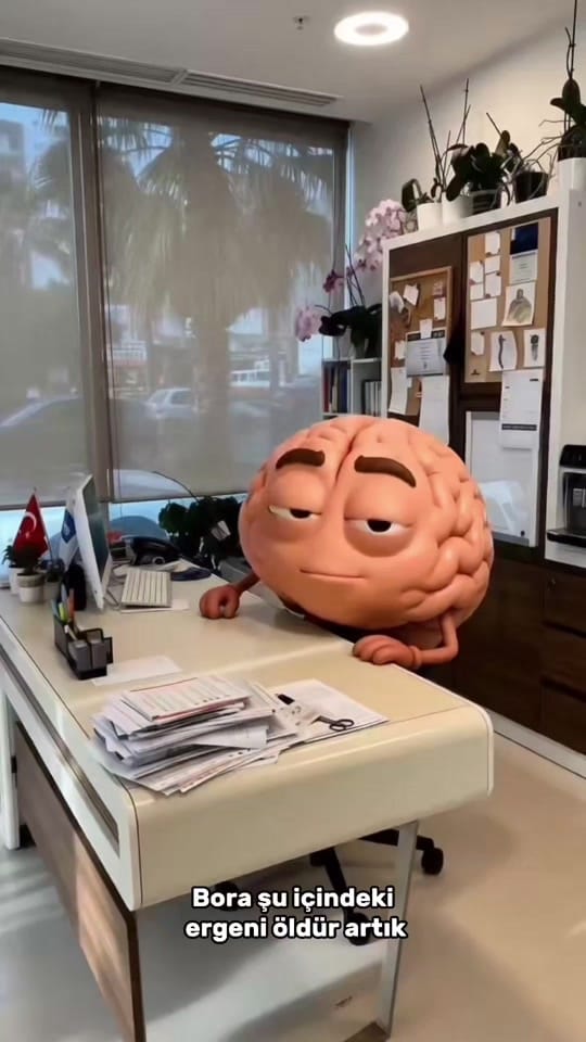 Post 2 by Prof. Dr.  Bora Gürer on TikTok (video)