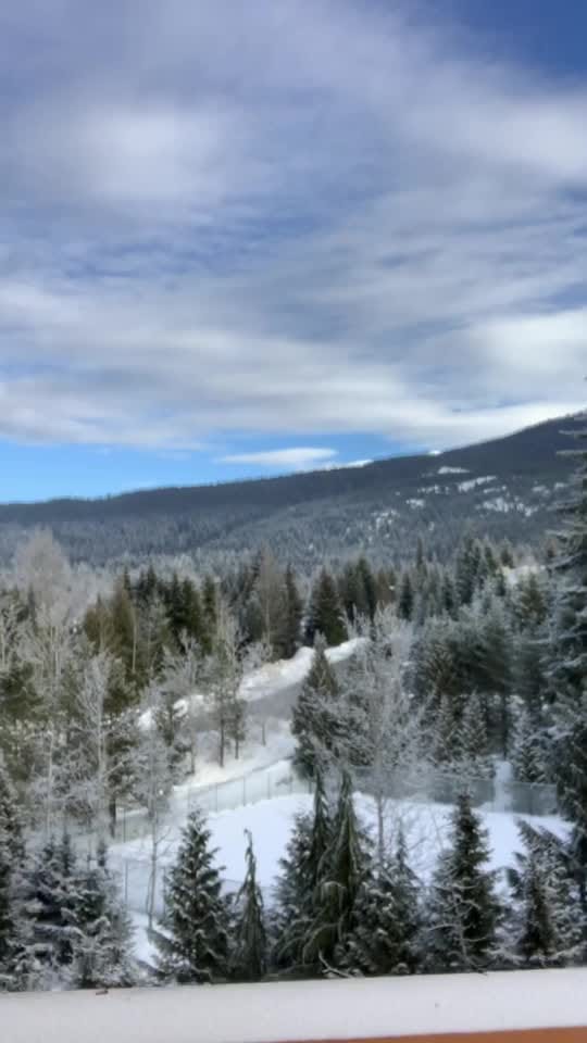 Post 2 by s.jamal on TikTok (video)