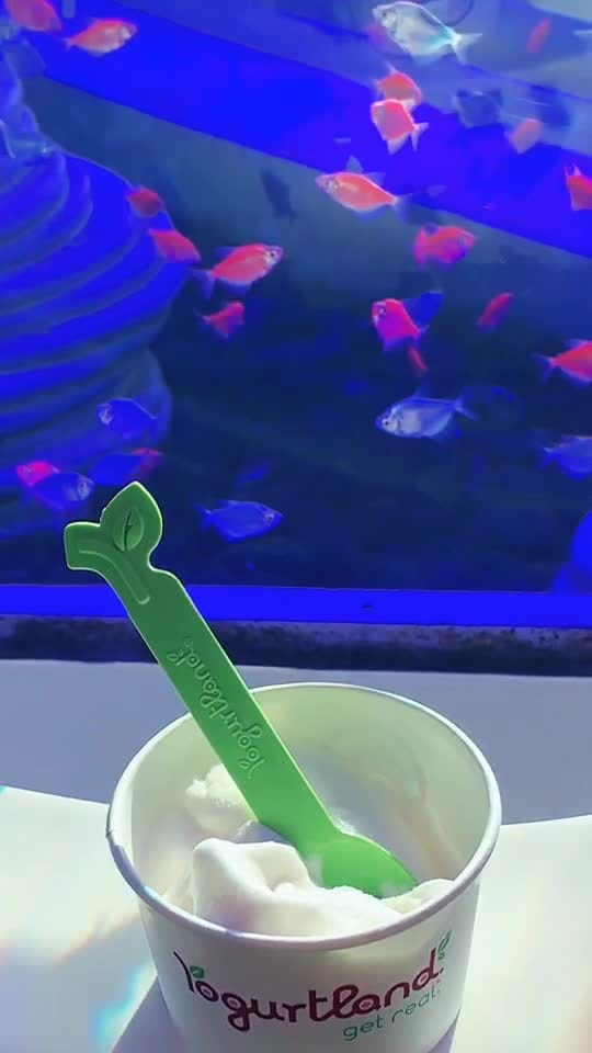 Post 6 by s.jamal on TikTok (video)