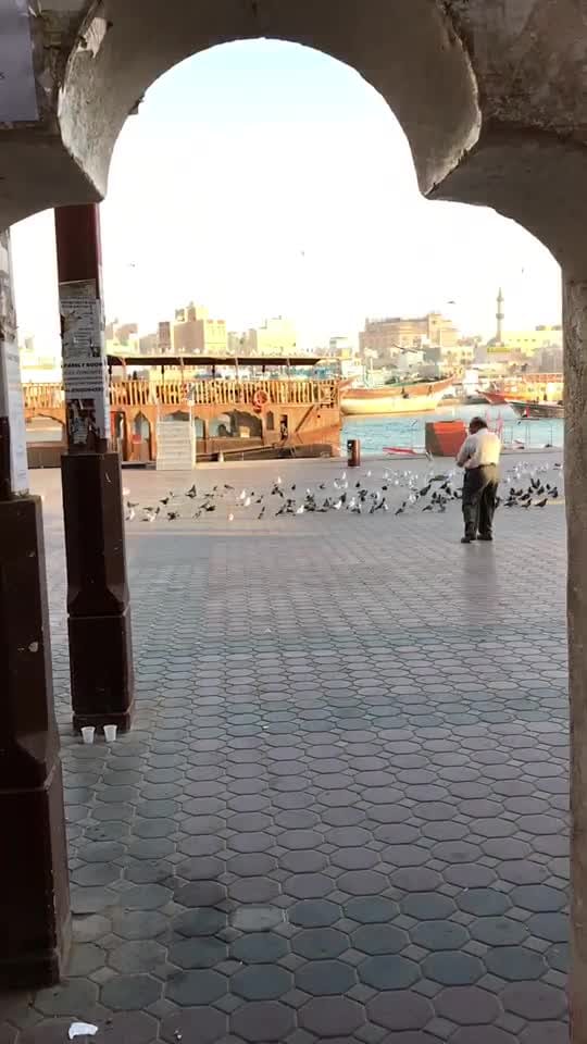 Post 9 by s.jamal on TikTok (video)