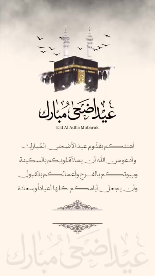 Post 7 by AHM on TikTok (video)