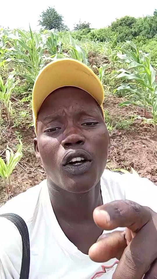 Post 2 by Kenyan comrade on TikTok (video)