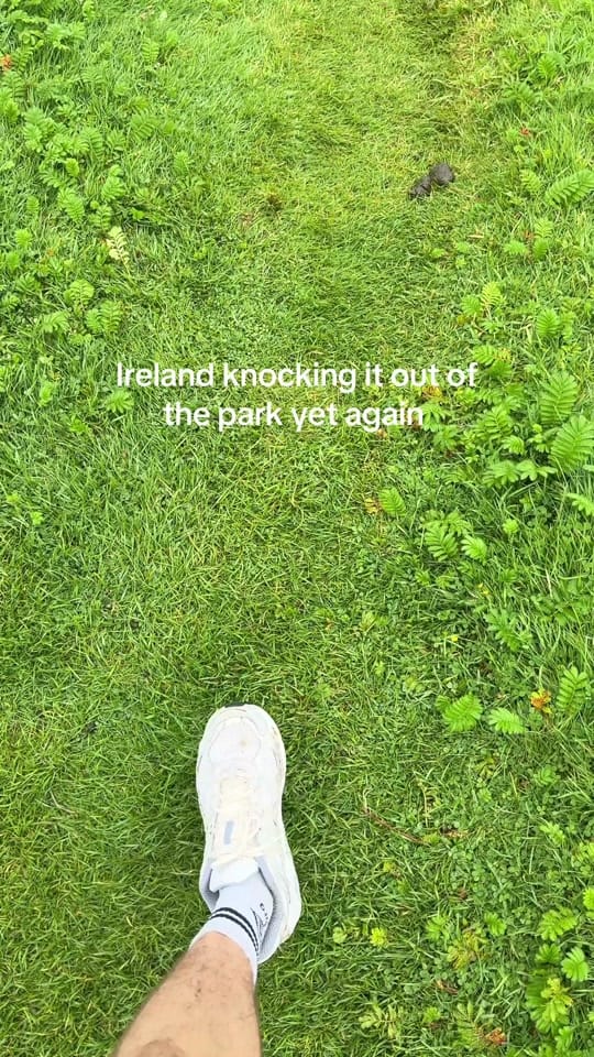 Post 6 by Seán Hayes on TikTok (video)