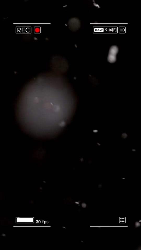 Post 6 by NachoCasano on TikTok (video)