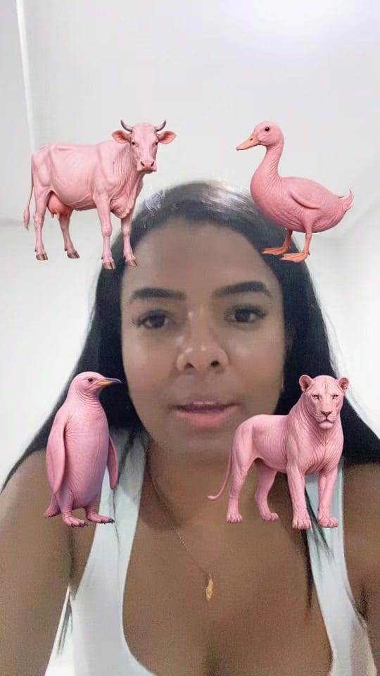 Post 7 by NANNA SANTOS CANTORA on TikTok (video)