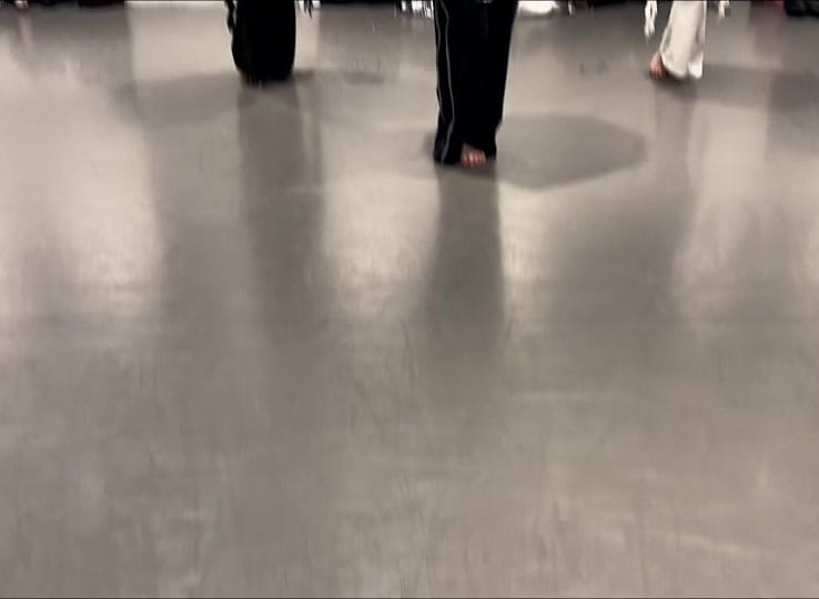 Post 7 by yucca on TikTok (video)