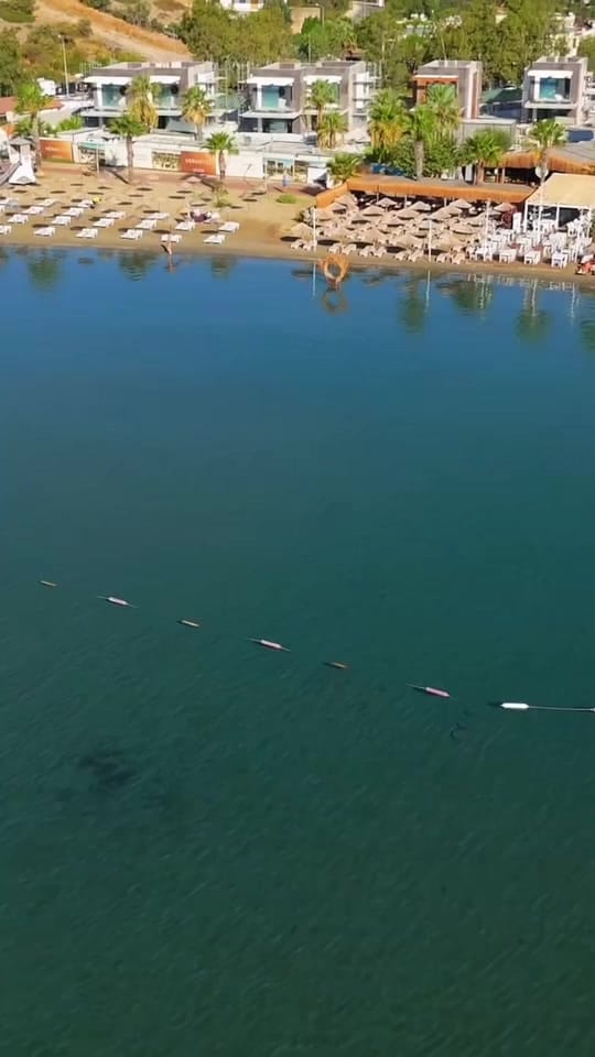 Post 2 by Property Turkey Istanbul on TikTok (video)