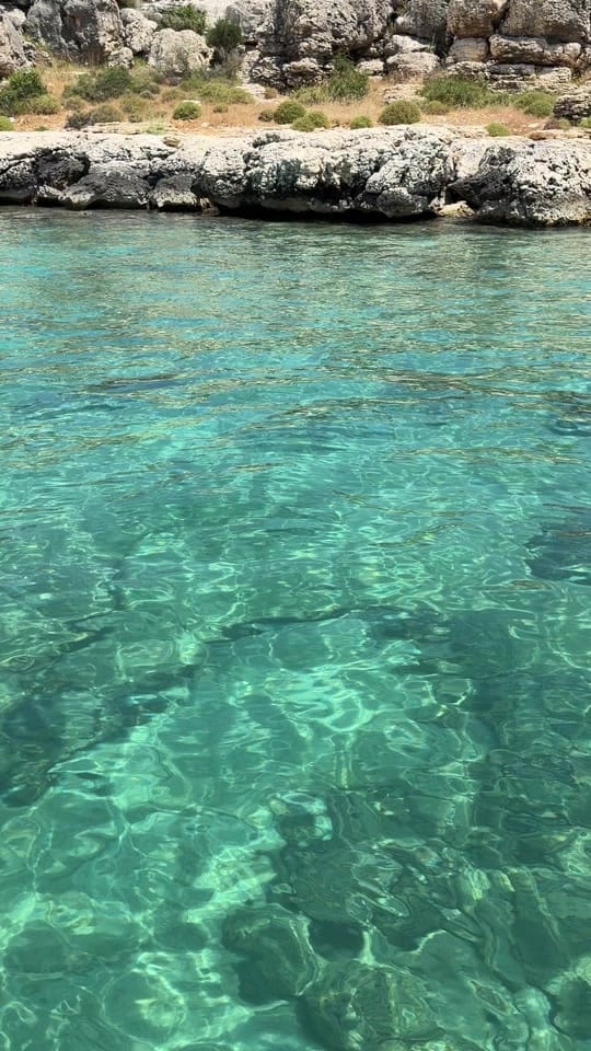 Post 5 by Investorvmersine+905315985770 on TikTok (video)