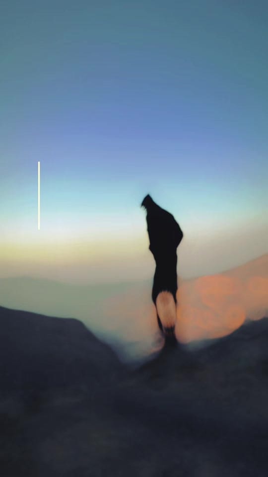 Post 4 by Shehzad Mohammad Ali on TikTok (video)
