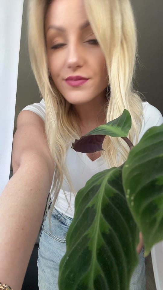 Post 5 by casandramusic on TikTok (video)