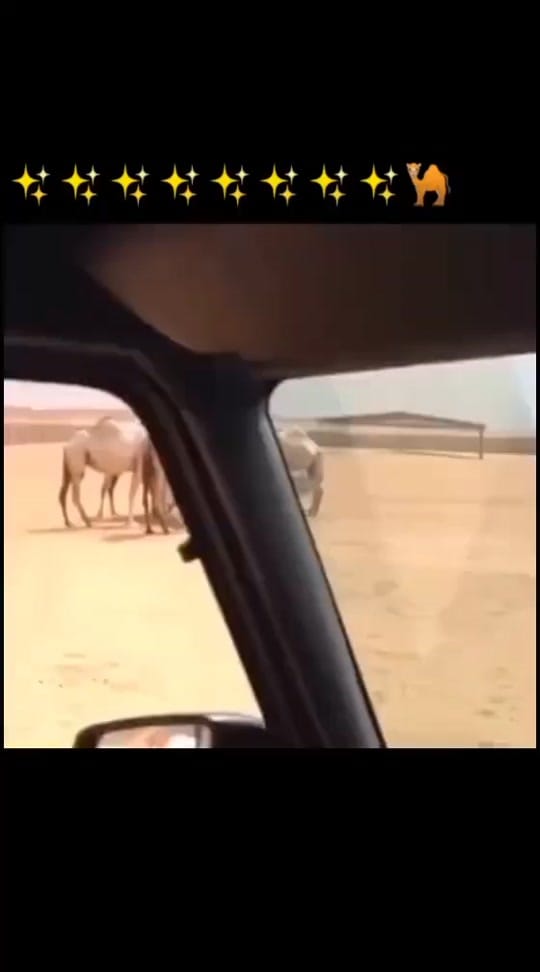 Post 8 by 🌎 My.dxb.world 🌍 on TikTok (video)