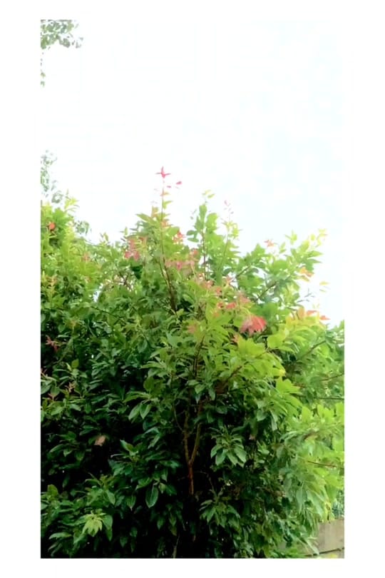 Post 9 by Azmat BhAtti on TikTok (video)