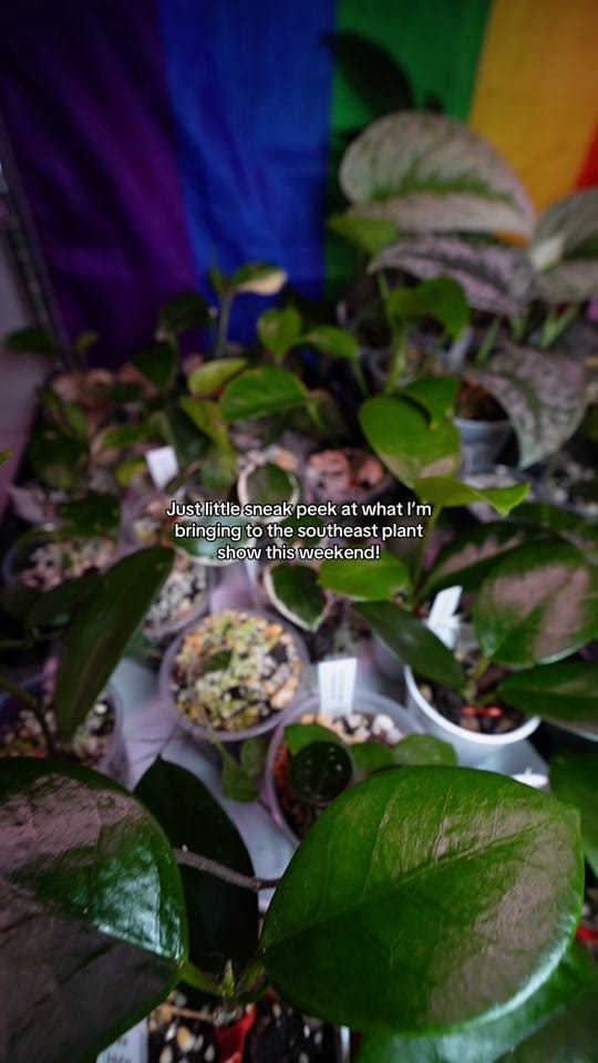 Post 1 by made.with.seoul on TikTok (video)