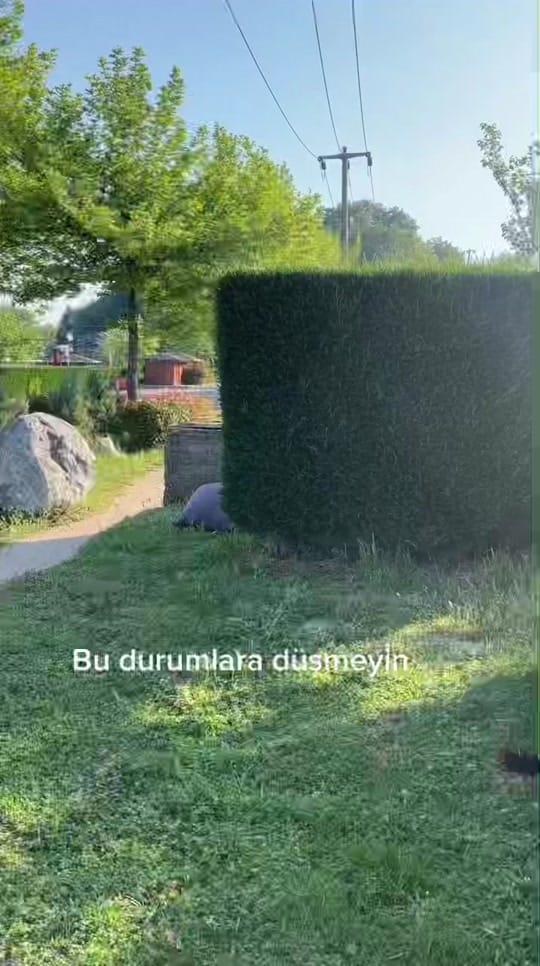 Post 10 by MR BUNGALOV 💎 on TikTok (video)