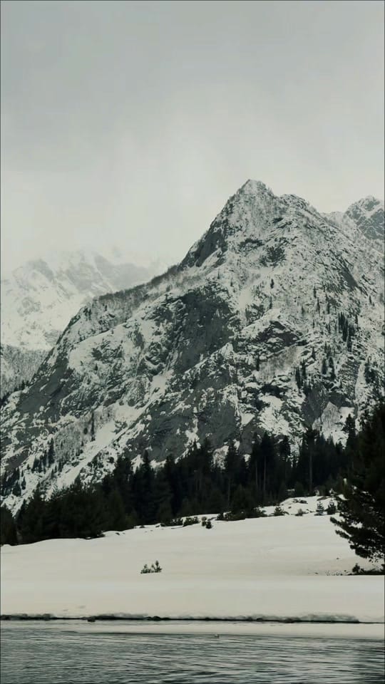 Post 9 by Dr.Muhammad Shareef on TikTok (video)