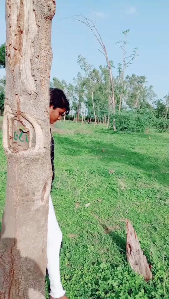 Post 5 by ❤🦁નખરાળી સિંહણ😇❤ on TikTok (video)