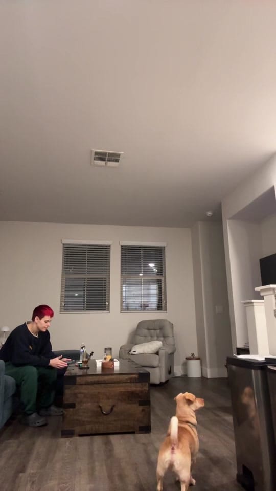 Post 5 by Cassandra Santiago on TikTok (video)