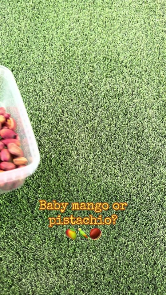 Post 2 by kate_pashkevich on TikTok (video)