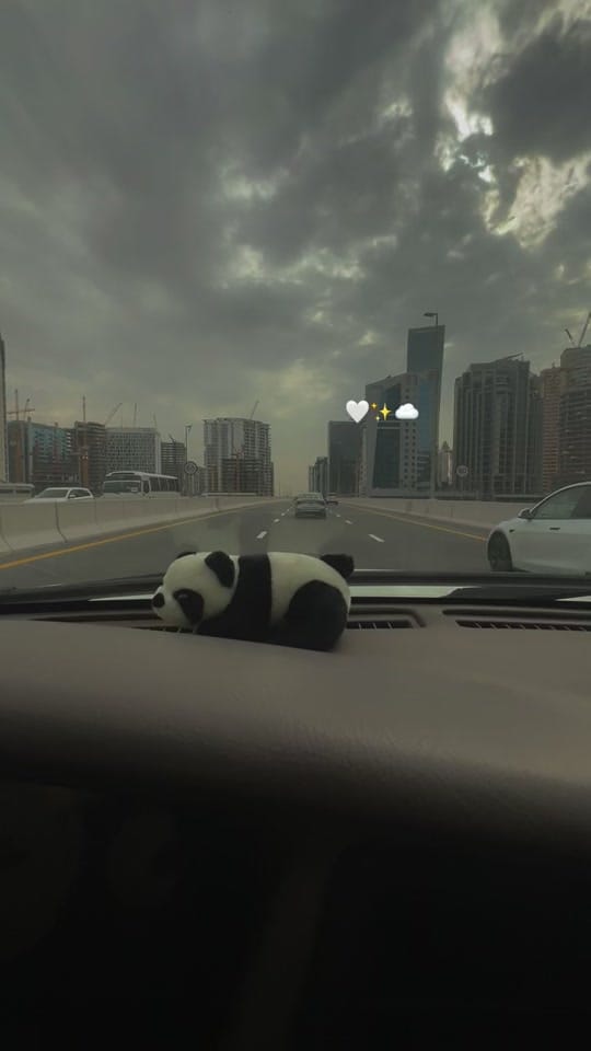 Post 7 by 🐺 on TikTok (video)