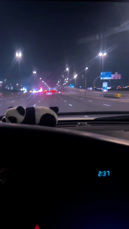 Post 6 by 🐺 on TikTok (video)