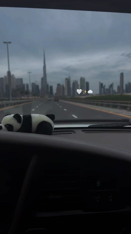 Post 5 by 🐺 on TikTok (video)