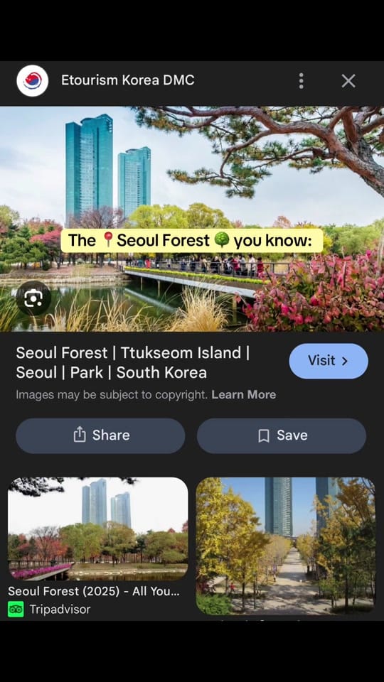 Post 5 by sarah 🏔️🥾🛹🏃🏻‍♀️‍➡️🇰🇷 on TikTok (video)