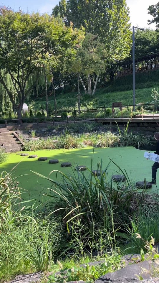 Post 8 by sarah 🏔️🥾🛹🏃🏻‍♀️‍➡️🇰🇷 on TikTok (video)