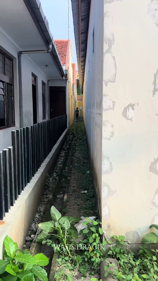 Post 2 by 𝕎𝕒𝕤𝕚𝕤 𝐃𝐫𝐚𝐜𝐢𝐤 on TikTok (video)