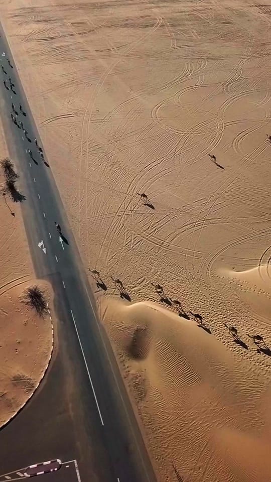 Post 7 by Peter Jay on TikTok (video)