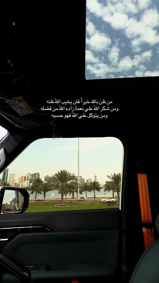 Post 3 by Nour Alsafadi on TikTok (video)
