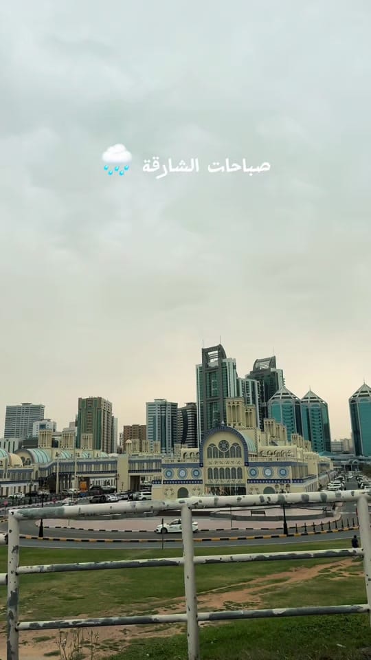 Post 4 by Nour Alsafadi on TikTok (video)